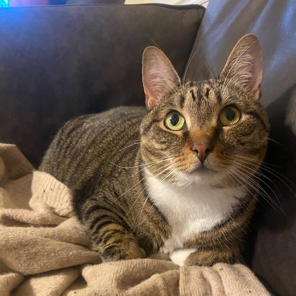 Meet your Posher, Kaitlyn - Picture 5 of 11